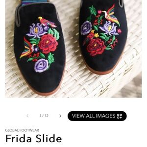 Frida slide